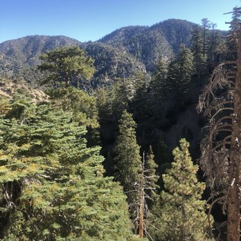 Buckhorn Campground - Campgrounds Near Me - Arcadia, California