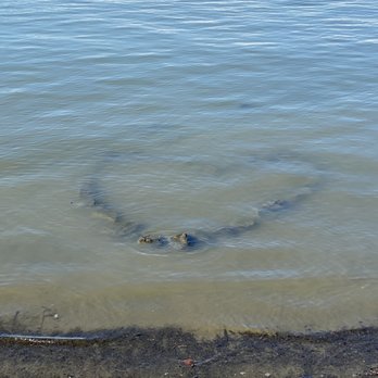 Sailor Jack's - Heart shape rock about 500 feet from restaurant - Seafood Near Me - Benicia, California
