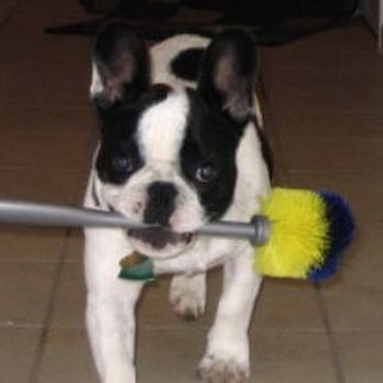 Cleaning Wizards - Carpet Cleaning Near Me - Ocean City, New Jersey