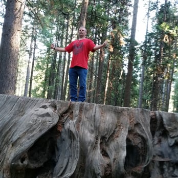 Calaveras Big Trees State Park - Parks Near Me - Arnold, California