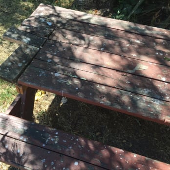 Willowpoint Campground - A proper table isn't even provided - Campgrounds Near Me - Lakeport, California