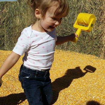 Green Acres Corn Maze - Corn pit - Pumpkin Patches Near Me - Casper, Wyoming Green Acres Corn Maze - Corn pit - Pumpkin Patches Near Me - Casper, Wyoming