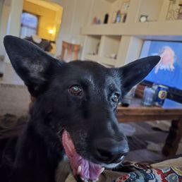 Luna Luna
