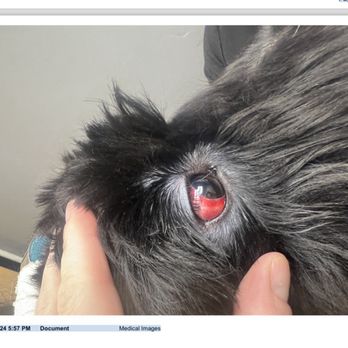 Lugari Pet Salon - Pet Groomers Near Me - Scottsdale, Arizona Lugari Pet Salon - Pet Groomers Near Me - Scottsdale, Arizona