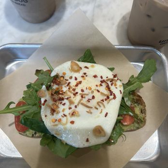 Underdog Coffee & Bread - Avocado toast with everything - Breakfast & Brunch Near Me - Annandale, Virginia Underdog Coffee & Bread - Avocado toast with everything - Breakfast & Brunch Near Me - Annandale, Virginia