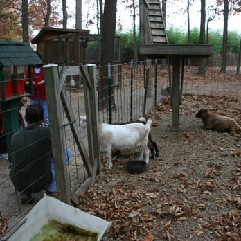 The Apple Works - Petting Zoo - Farms Near Me - Trafalgar, Indiana