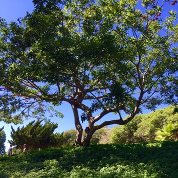 Fox Hills Park - Beautiful walking trails - Parks Near Me - Culver City, California Fox Hills Park - Beautiful walking trails - Parks Near Me - Culver City, California