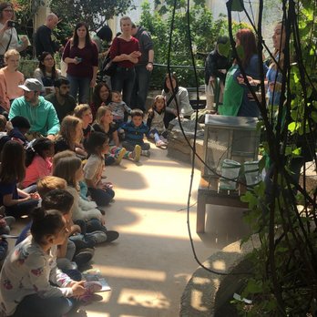 Peggy Notebaert Nature Museum - Getting ready for the butterfly release - Museums Near Me - Chicago, Illinois Peggy Notebaert Nature Museum - Getting ready for the butterfly release - Museums Near Me - Chicago, Illinois