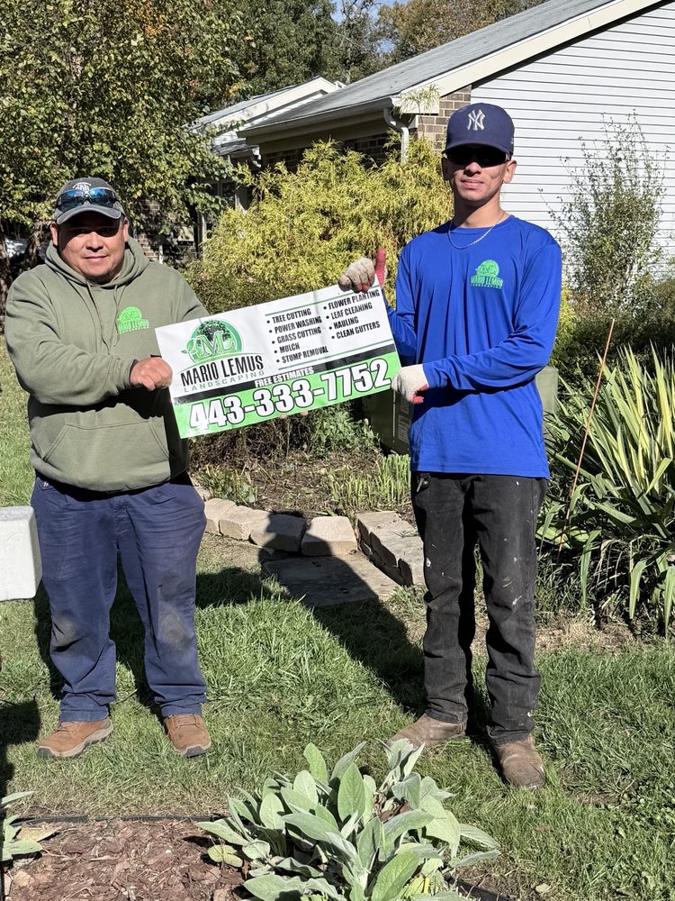 Mario Lemus Landscaping - tree service in Annapolis, MD