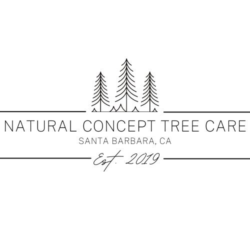 NATURAL CONCEPT TREE CARE Updated October 2024 24 Photos & 22