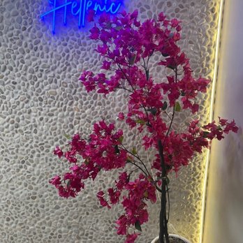 Hellenic Greek Kitchen - Greek Near Me - Charlotte, North Carolina Hellenic Greek Kitchen - Greek Near Me - Charlotte, North Carolina