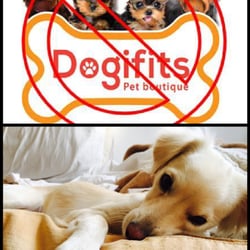 Dogifits Pet Boutique