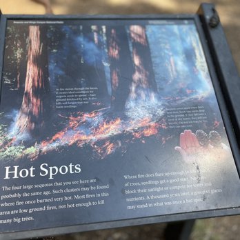 Big Trees Trail - Hiking Near Me - Three Rivers, California Big Trees Trail - Hiking Near Me - Three Rivers, California