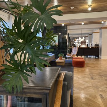 Hotel Revival Baltimore - Hotels Near Me - Baltimore, Maryland Hotel Revival Baltimore - Hotels Near Me - Baltimore, Maryland