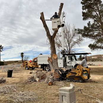 Genesis Tree Care - Tree Services Near Me Genesis Tree Care - Tree Services Near Me