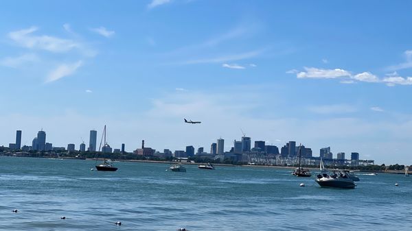 Spectacle Island by null