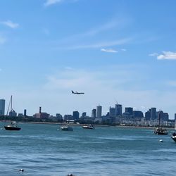 Spectacle Island - View from island