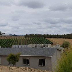 Best of Portland Tours - Adelsheim Vinyards