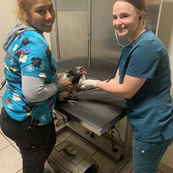 Care Animal Hospital - The two together - Veterinarians Near Me - Temecula, California Care Animal Hospital - The two together - Veterinarians Near Me - Temecula, California