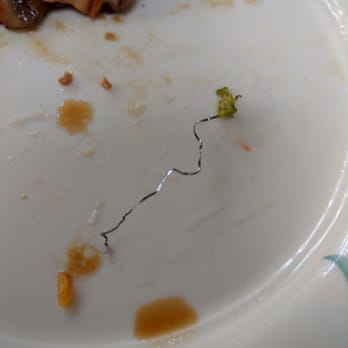 Hunan Wok - Found this cool souvenir in my combination platter. - Chinese Near Me - Cranford, New Jersey Hunan Wok - Found this cool souvenir in my combination platter. - Chinese Near Me - Cranford, New Jersey