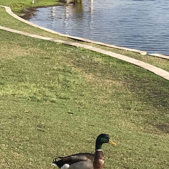 Lake Baldwin Park - Parks Near Me - Winter Park, Florida