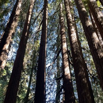 Roaring Camp Railroads - Venues & Event Spaces Near Me - Felton, California Roaring Camp Railroads - Venues & Event Spaces Near Me - Felton, California