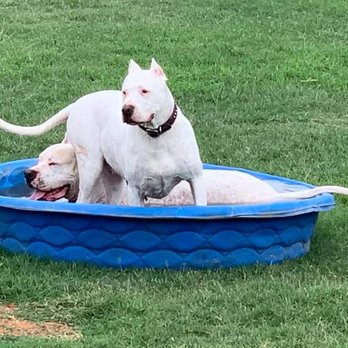 Animal Boarding Center - Pet Boarding Near Me - Tuttle, Oklahoma