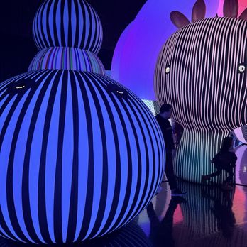 Balloon Museum - Art Museums Near Me - Chicago, Illinois