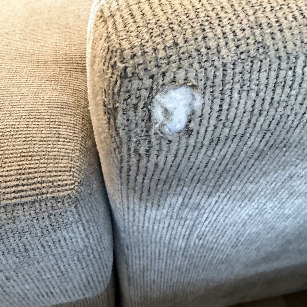 University Movers - Damage to sofa - Movers Near Me University Movers - Damage to sofa - Movers Near Me