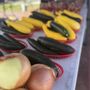 Photo of Sachse Farmers Market