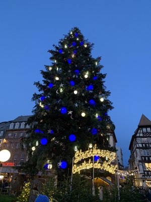Place Kléber by null