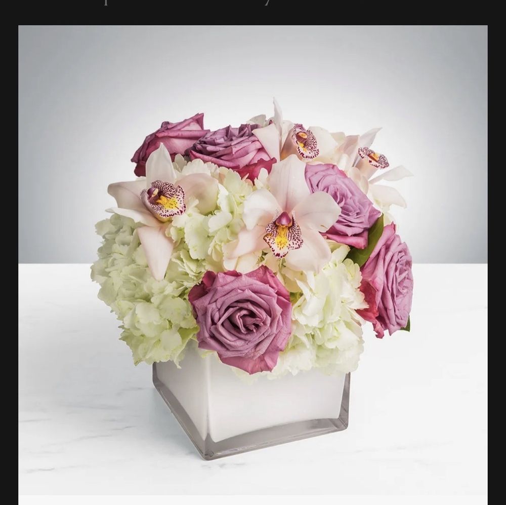 ATLANTA FLOWER MARKET Updated September 2024 43 Photos & 25 Reviews