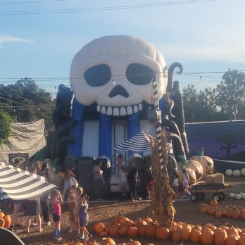 MrBones - Attraction Farms Near Me - Culver City, California