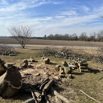 Alexis Tree Service - Client decided to keep all the wood - Tree Services Near Me Alexis Tree Service - Client decided to keep all the wood - Tree Services Near Me