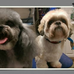 Libby's Grooming and Spaw - Ok can we go home now?