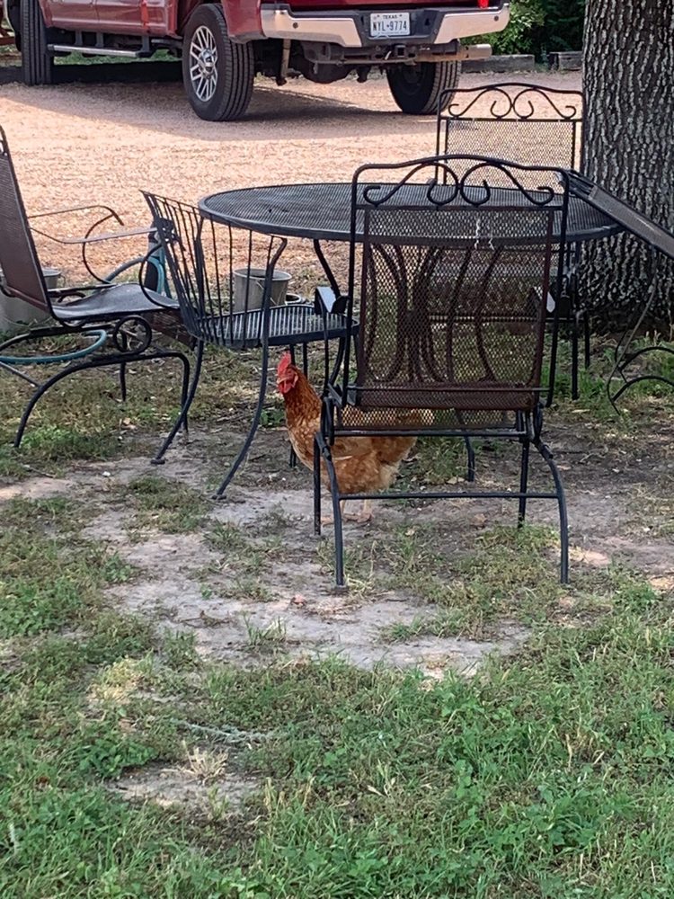 Blue Mule Winery - Photo 6