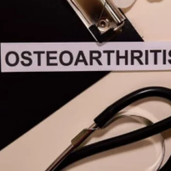 High Mountain Orthopedics