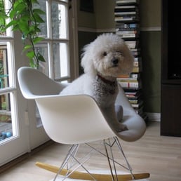 My brand new Eames rocker from DWR My brand new Eames rocker from DWR