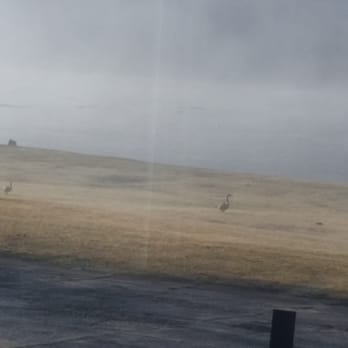 The Cafe - a view of a foggy landscape - Breakfast & Brunch Near Me - Fries, Virginia The Cafe - a view of a foggy landscape - Breakfast & Brunch Near Me - Fries, Virginia