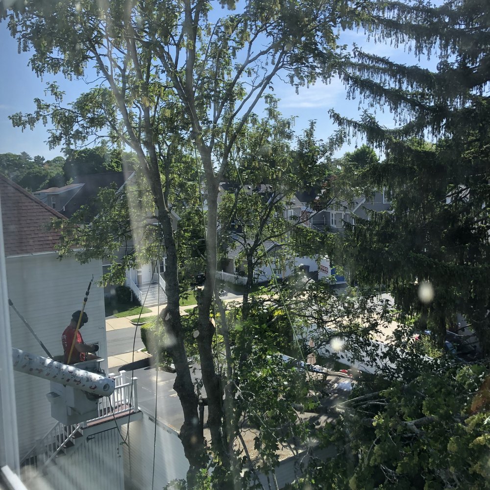 Patriot Tree Service - Tree Services Near Me Patriot Tree Service - Tree Services Near Me