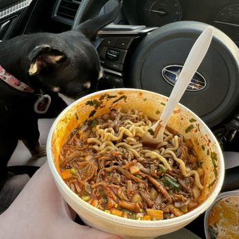 Tacos La Flama - Birria Ramen (and a begging Chihuahua) - Food Trucks Near Me - Kenosha, Wisconsin