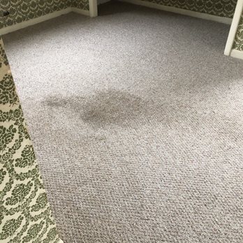 Carpet Cleaning Group - Gone!  All of them gone!!! - Carpet Cleaning Near Me - Chicago, Illinois