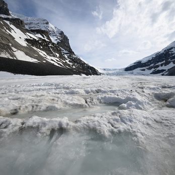 Columbia Icefield - Columbia Icefield - Snow Dome - Tours Near Me - Banff, Alberta