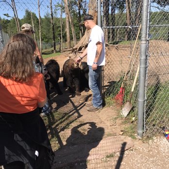 Oswald's Bear Ranch - Zoos Near Me - Newberry, Michigan Oswald's Bear Ranch - Zoos Near Me - Newberry, Michigan