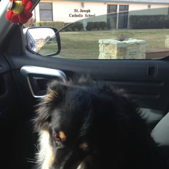 St. Joseph Catholic School - Ranger waiting on his boy!!! - Middle Schools & High Schools Near Me - Arlington, Texas St. Joseph Catholic School - Ranger waiting on his boy!!! - Middle Schools & High Schools Near Me - Arlington, Texas