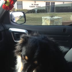 St. Joseph Catholic School - Ranger waiting on his boy!!!