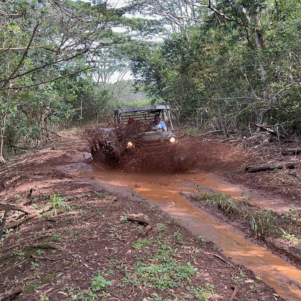 ATV off-roading in the mud ATV off-roading in the mud