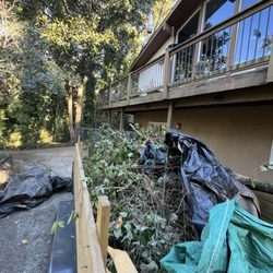 SPC Junk Removal & Hauling - Full load of yard debris