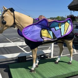 Bothell Feed Center - Mr Ed!