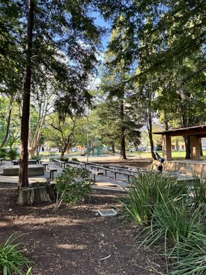 Sonoma Plaza by null